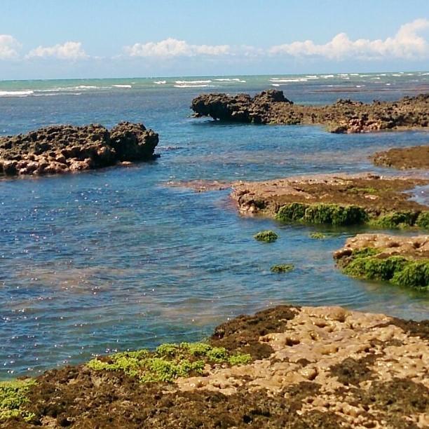 Caboco Sonhado Passeios Nauticos E Pousada 호텔 Mundaú 외부 사진